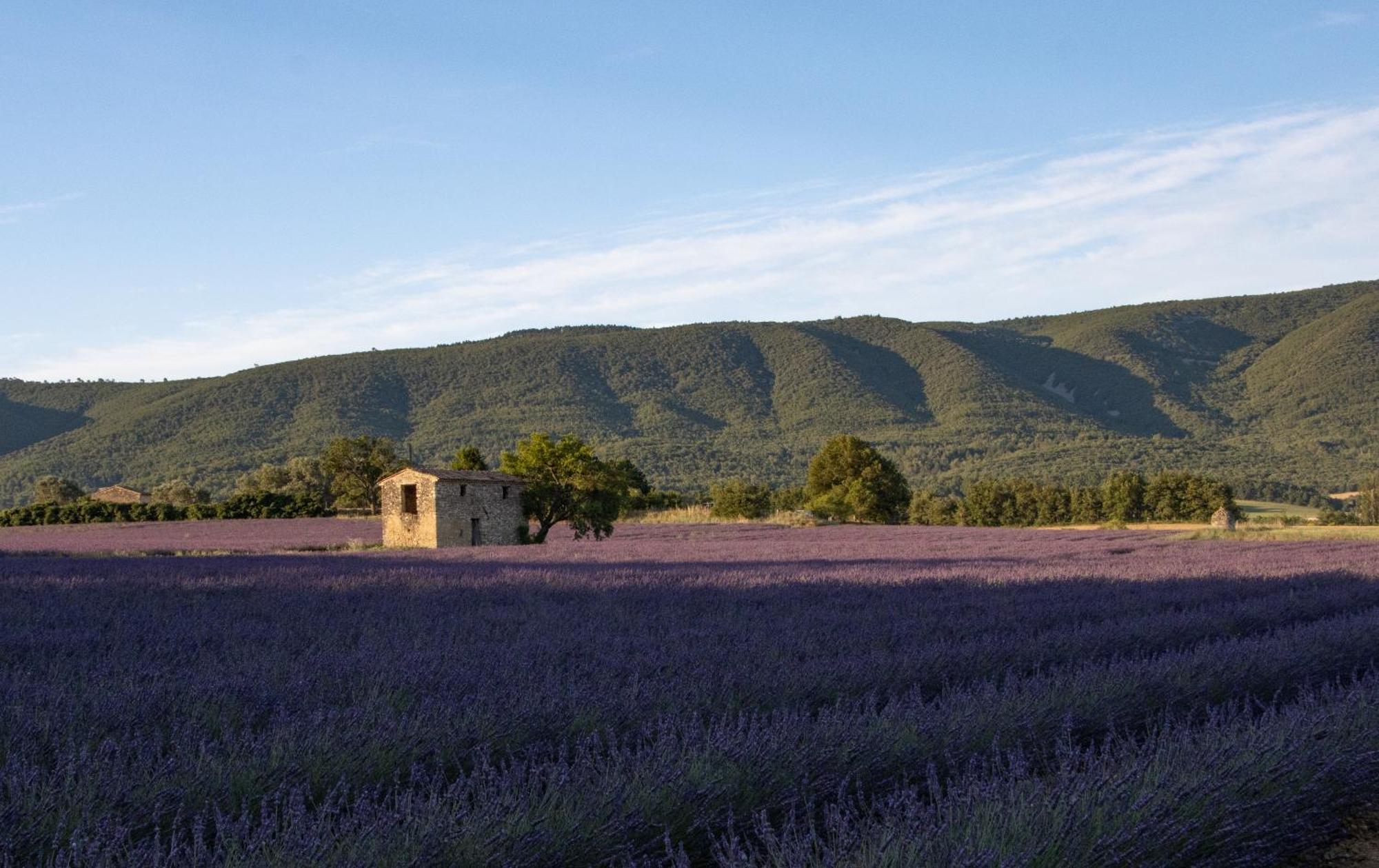 Studio Dans Le Luberon Céreste Eksteriør bilde